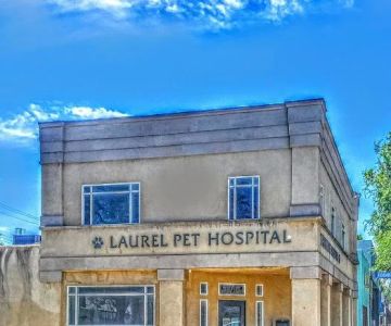 Laurel Pet Hospital: Seoud Moustafa T DVM