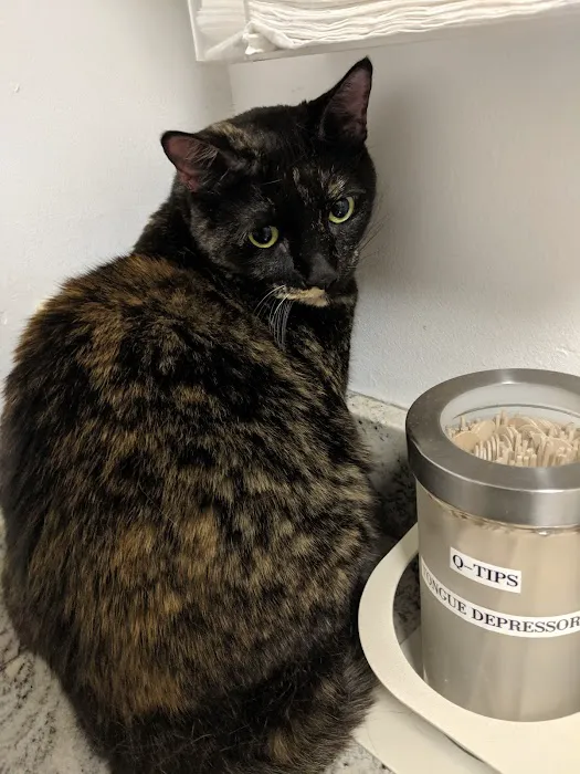 Laurel Pet Hospital 3