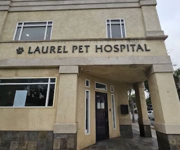 Laurel Pet Hospital