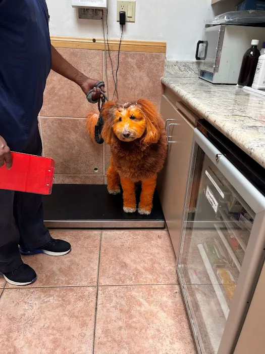 Laurel Pet Hospital 7