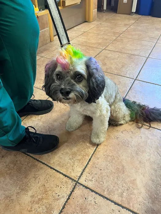 Laurel Pet Hospital 9