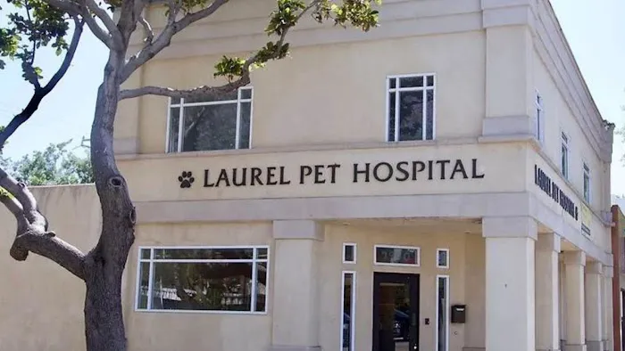 Laurel Pet Hospital 6