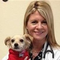 Lomond Lisa DVM ico