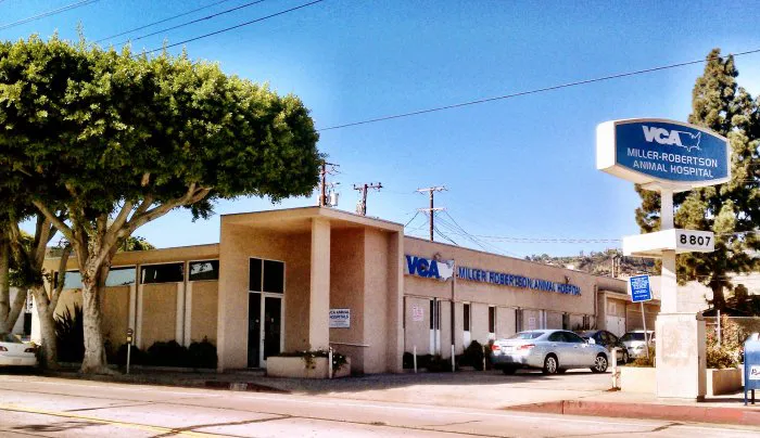 VCA Miller-Robertson Animal Hospital 4