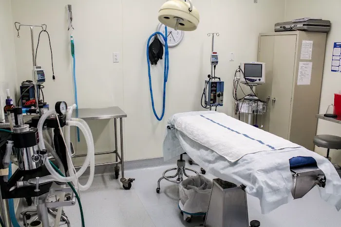 VCA Miller-Robertson Animal Hospital 6