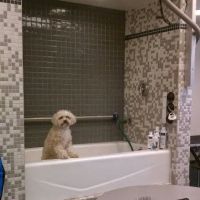 VCA Miller-Robertson Animal Hospital ico