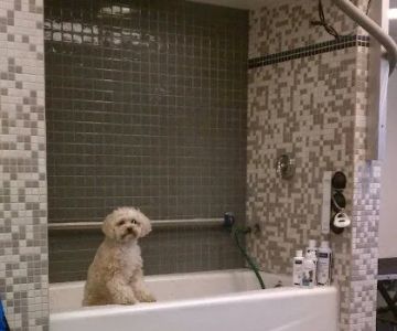 VCA Miller-Robertson Animal Hospital