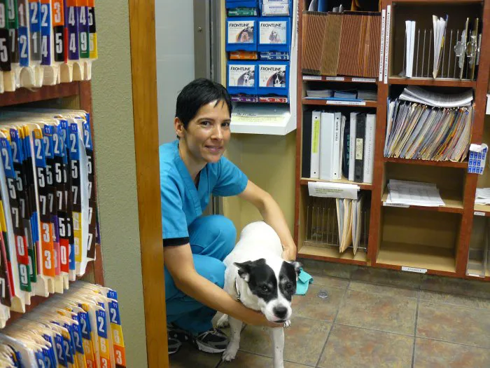 VCA TLC Animal Hospital 9