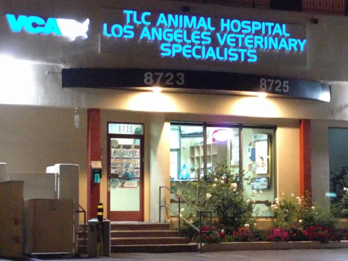 VCA Los Angeles Veterinary Specialists 5