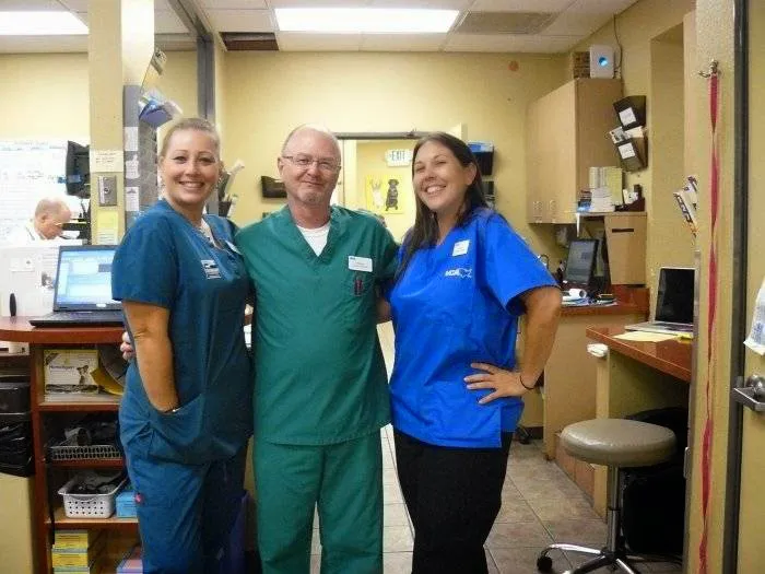VCA Los Angeles Veterinary Specialists 4