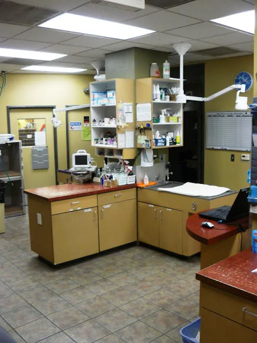 VCA Los Angeles Veterinary Specialists 8