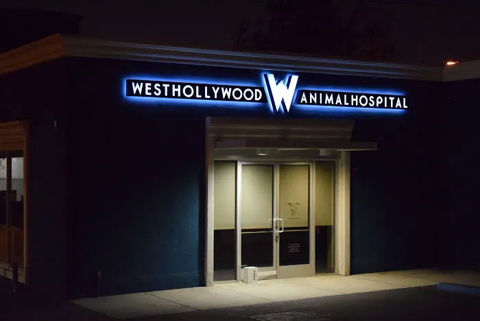 West Hollywood Animal Hospital 8