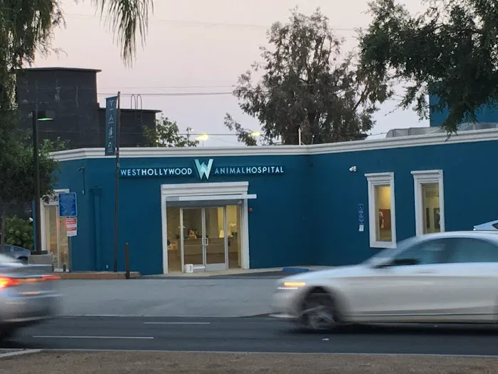 West Hollywood Animal Hospital 2