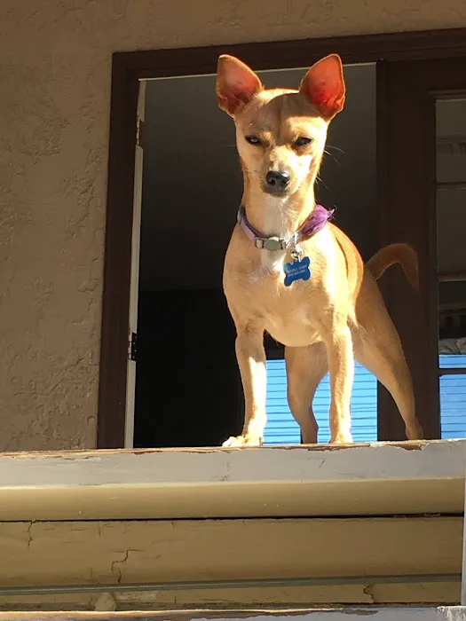 Rancho Park Veterinary Clinic 12