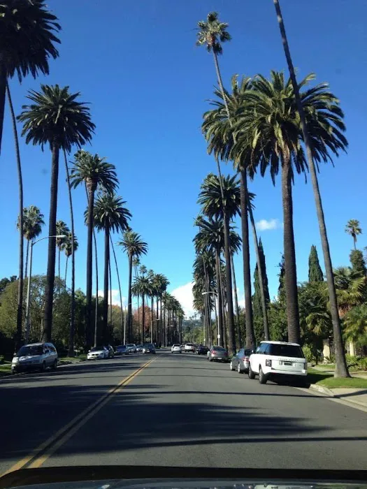 Beverly Hills Small Animal Hospital 5