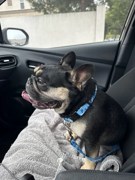 Emergency Pet Hospital of Glendora 12