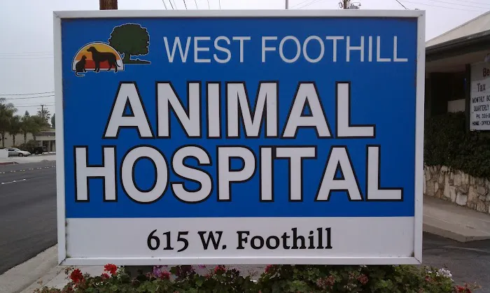 Emergency Pet Hospital of Glendora 12