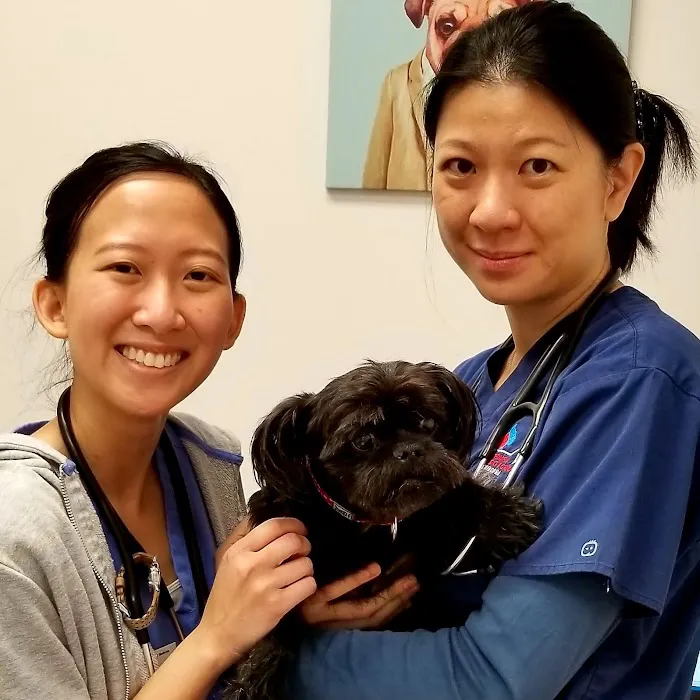 Veterinary Specialty Group of Glendora 8