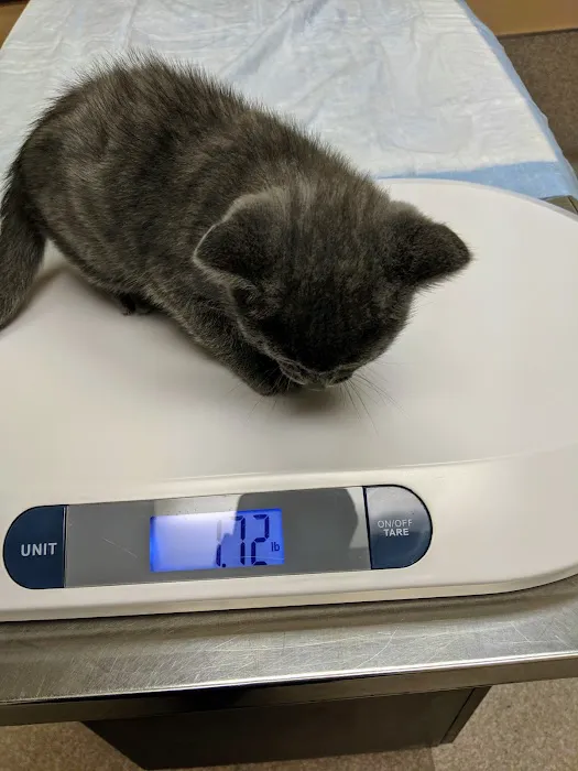 Elwood Animal Clinic 7