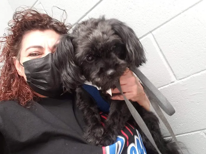 Elwood Animal Clinic 3