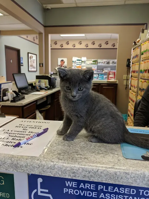 Elwood Animal Clinic 4