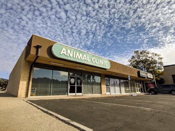 Elwood Animal Clinic 10