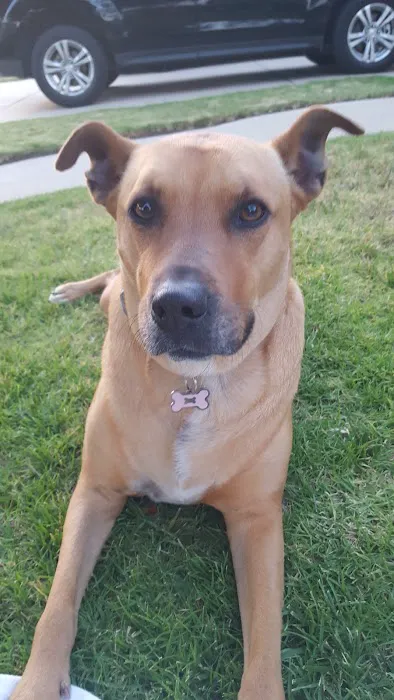 Banfield Pet Hospital 12