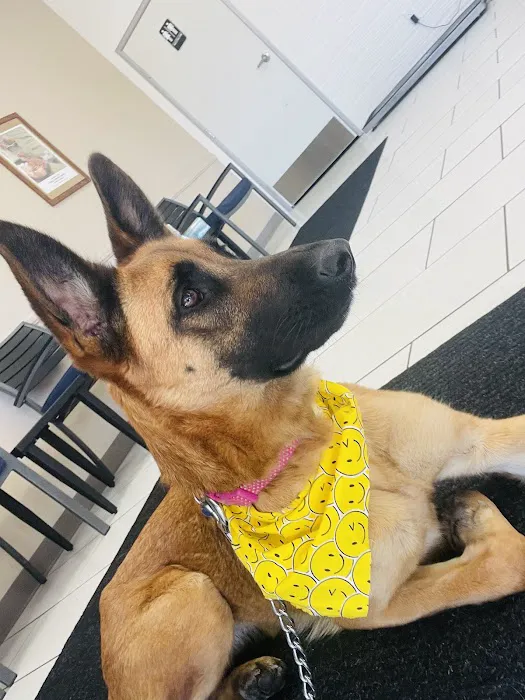 San Dimas Pet Clinic 4