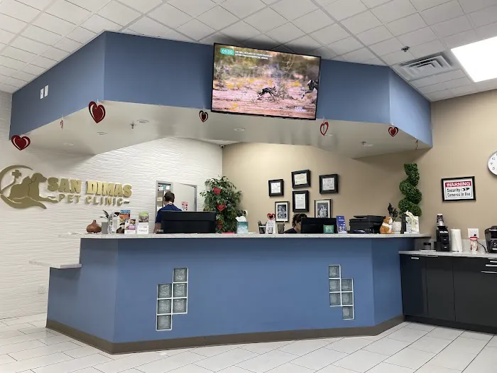 San Dimas Pet Clinic 6