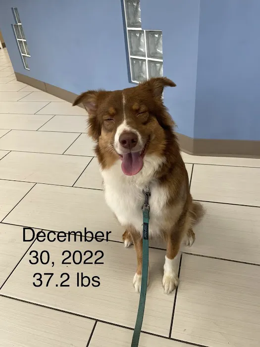San Dimas Pet Clinic 3
