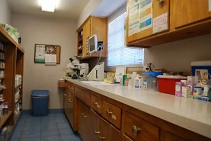 VCA Alosta Animal Hospital 12