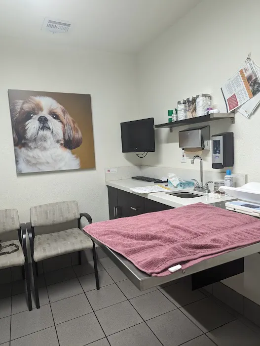 VCA Alosta Animal Hospital 12