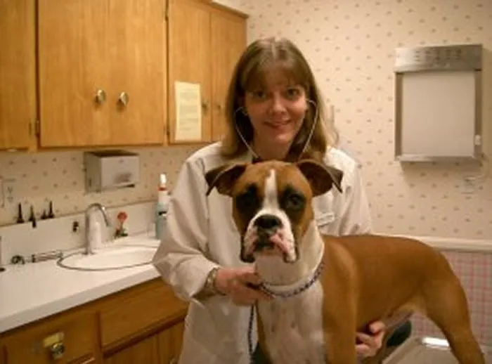 VCA Alosta Animal Hospital 12