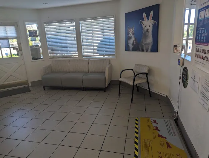 VCA Alosta Animal Hospital 12