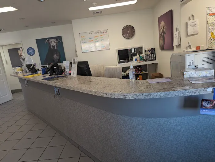 VCA Alosta Animal Hospital 12