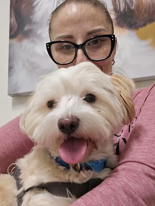 VCA Alosta Animal Hospital 12