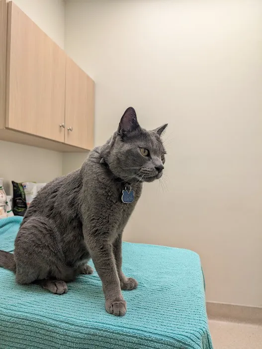 Glendora Pet Care Center 2