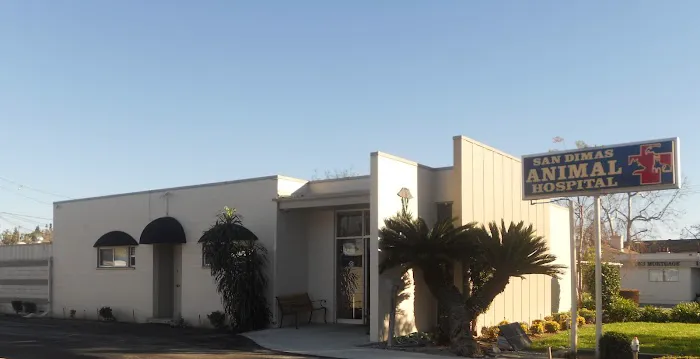 San Dimas Animal Hospital 5