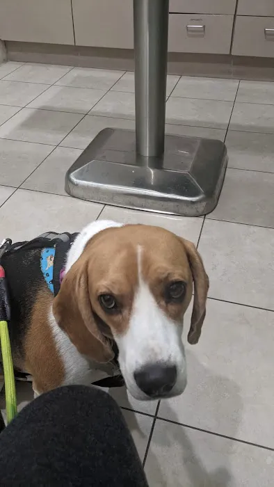 San Dimas Animal Hospital 10