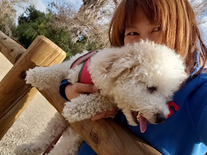 Blue Cross Animal Hospital 12