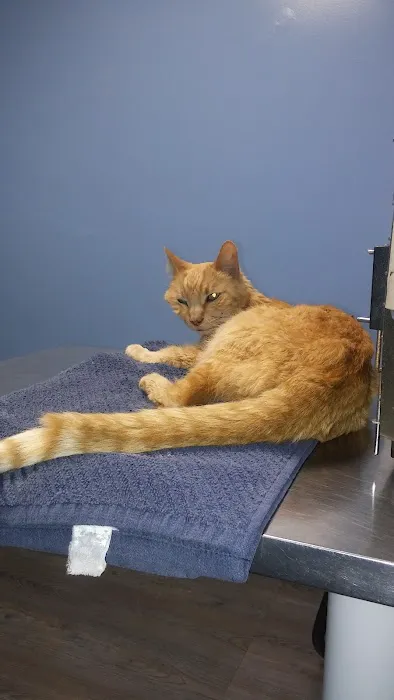 Blue Cross Animal Hospital 12
