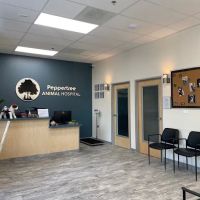 Peppertree Animal Hospital ico
