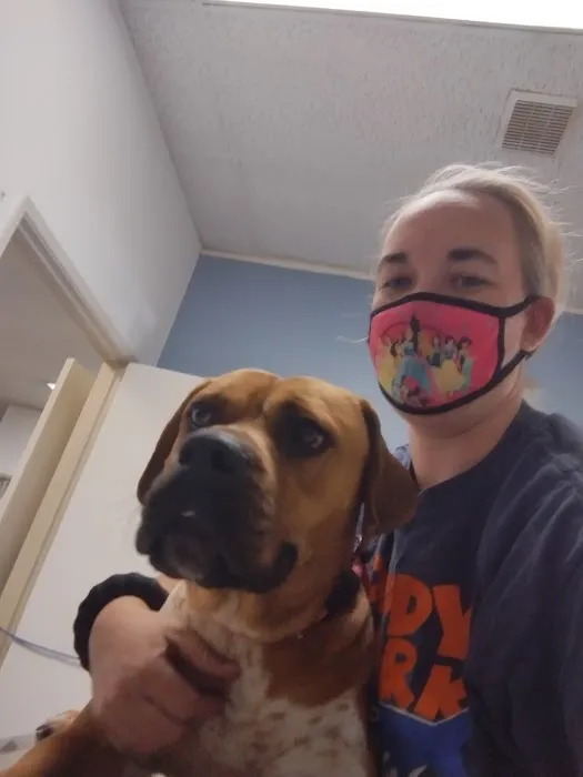 Francis Animal Hospital 12