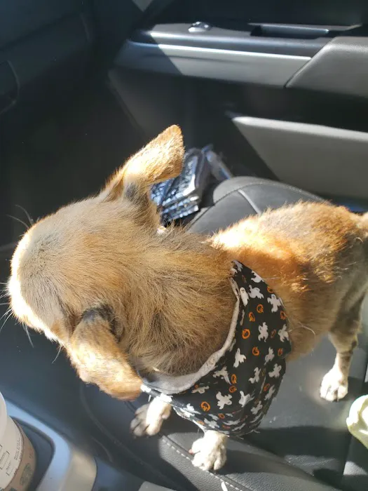Francis Animal Hospital 12