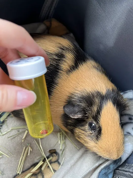 Chaparral Pet Hospital 12