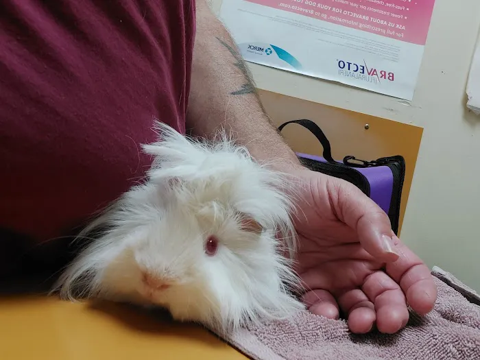 Chaparral Pet Hospital 12