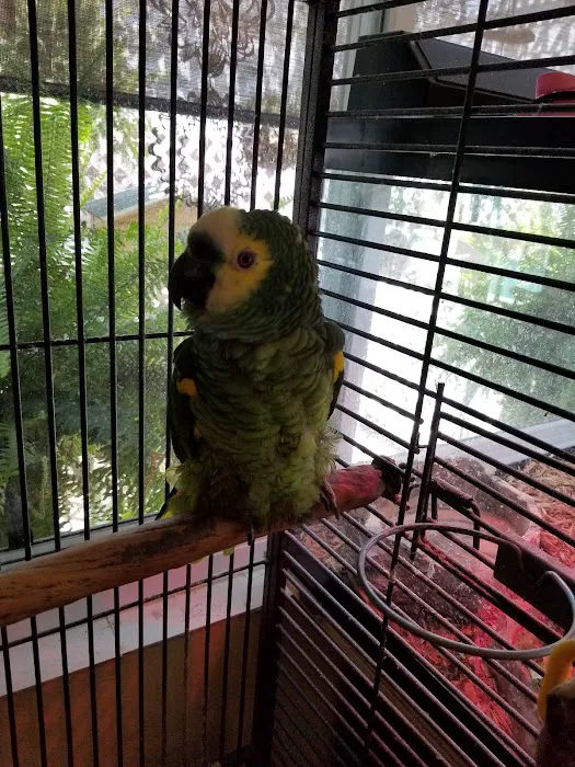 Chaparral Pet Hospital 12