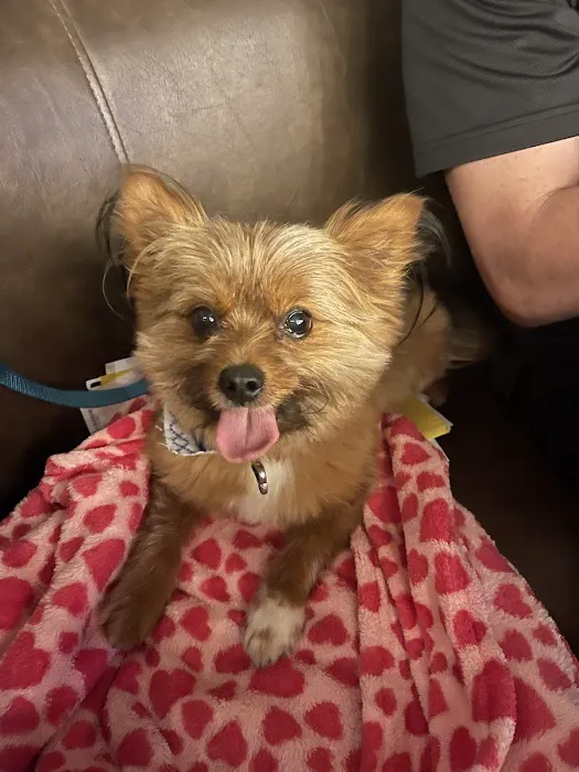 Banfield Pet Hospital 12