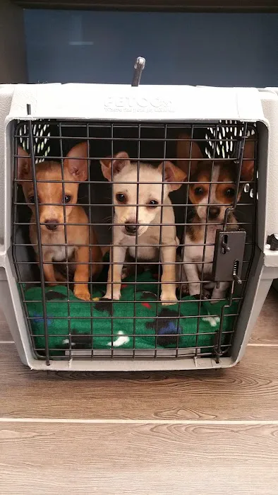 Banfield Pet Hospital 12