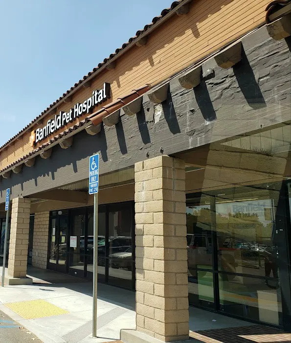 Banfield Pet Hospital 12